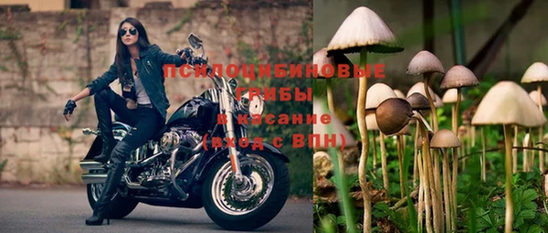 трава Новодвинск
