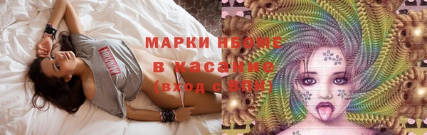 трава Новодвинск