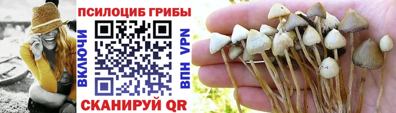 Псилоцибиновые грибы Magic Shrooms  купить наркотики сайты  KRAKEN   Опочка 